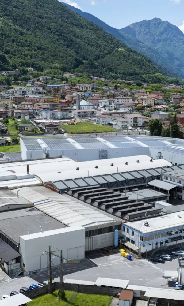 Azienda